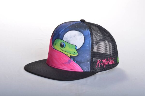 Assorted Variety Box of Art Printed Trucker Hats $864 - Image 20